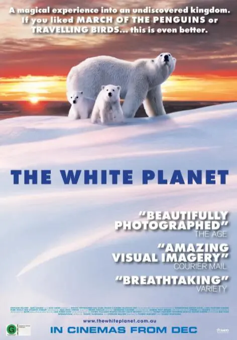 《白色星球》：极地动物的诗意挽歌，一部关于消逝的冰雪世界的视觉盛宴