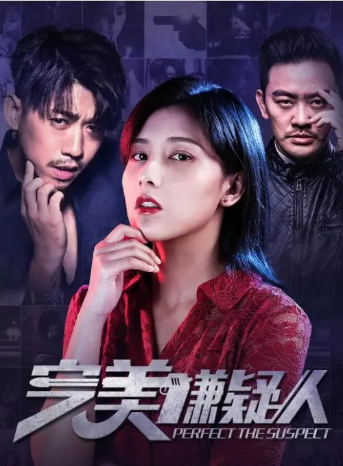 《完美嫌疑人》：谁是幕后真凶？一场精心设计的完美骗局与人性的终极拷问！