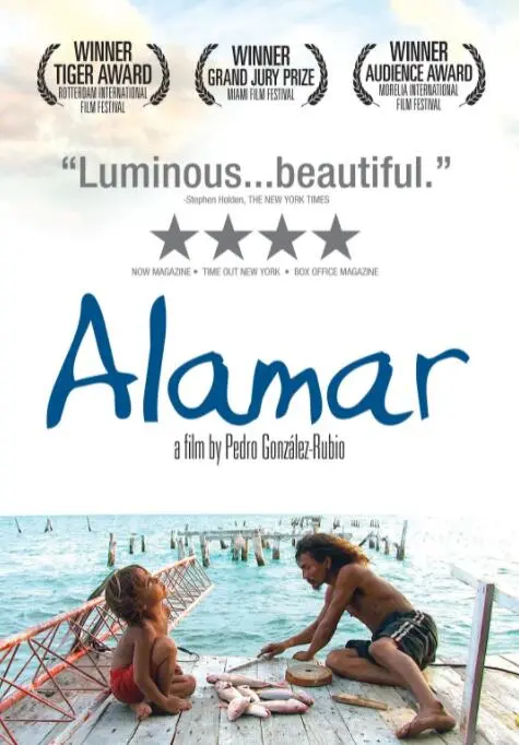 《拥抱大海》：一场关于救赎与希望的蓝色史诗，直击心灵的海洋之歌！