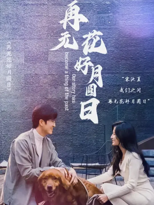 《再无花好月圆日》：撕心裂肺的爱情挽歌，一场关于遗憾与错过的深刻剖析