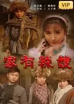 《家有辣嫂》：爆笑喜剧还是时代缩影？辣嫂的追梦之旅，你准备好了吗？