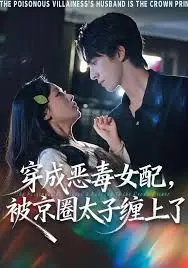 《穿成恶毒女配被京圈太子缠上》：穿越逆袭，恶女的命运能否被书写？