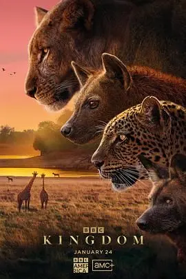 《动物王国(普通话版)》：当社会规则遇上原始本能，一场关于生存与秩序的残酷寓言